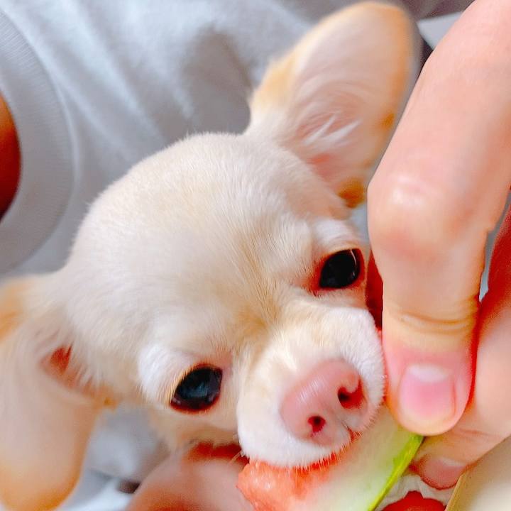 32463ee6 f1ad 4bf4 a6ea 0ac2d6760bd8 1629981197900