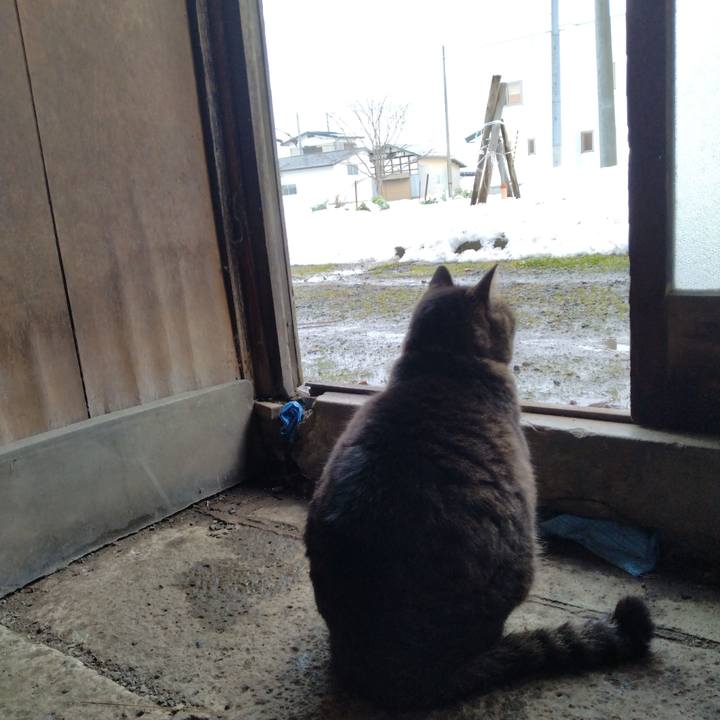 3246432c 913b 402d a865 1bcd78c271d8 1703578923118