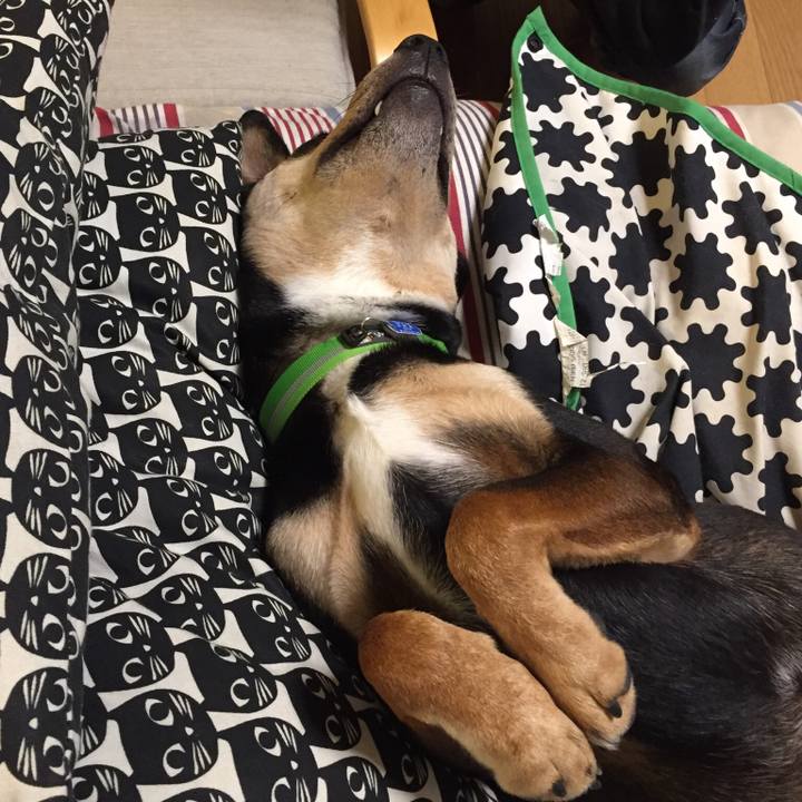 32468c6c 03b5 4866 997e dbee66648e81 1544529591892