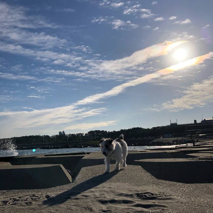 32469c31 17df 4692 b48b b7666620081f 1602802723819