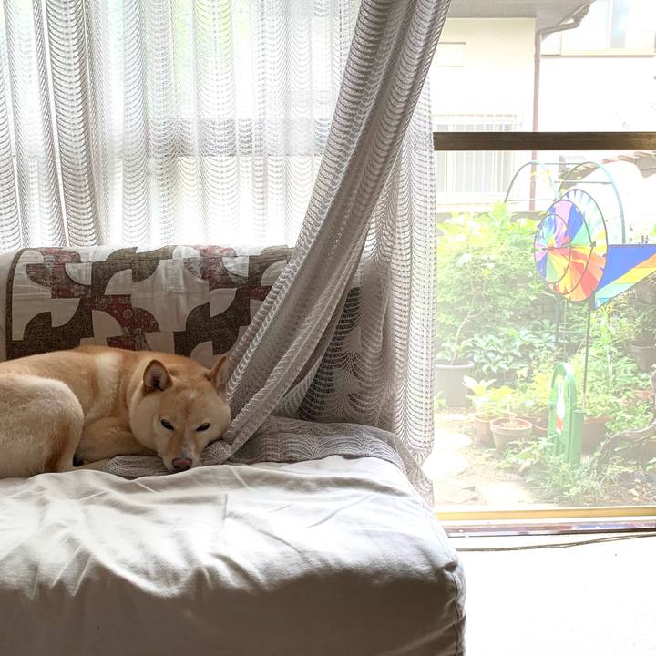 3246abb1 690c 430a b7e4 e1db84b74280 1625011471213