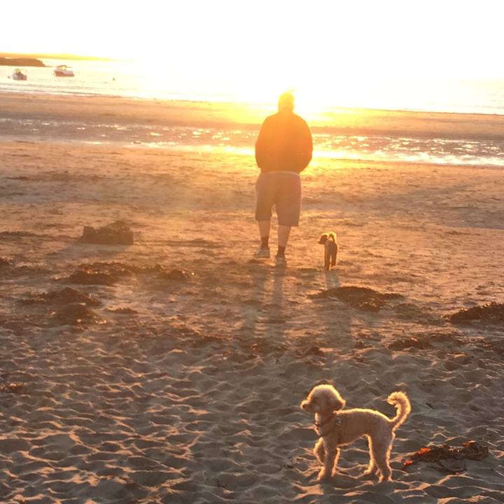 3246c3f8 b5ee 4e30 850d f9d58e2792a4 1531337123629