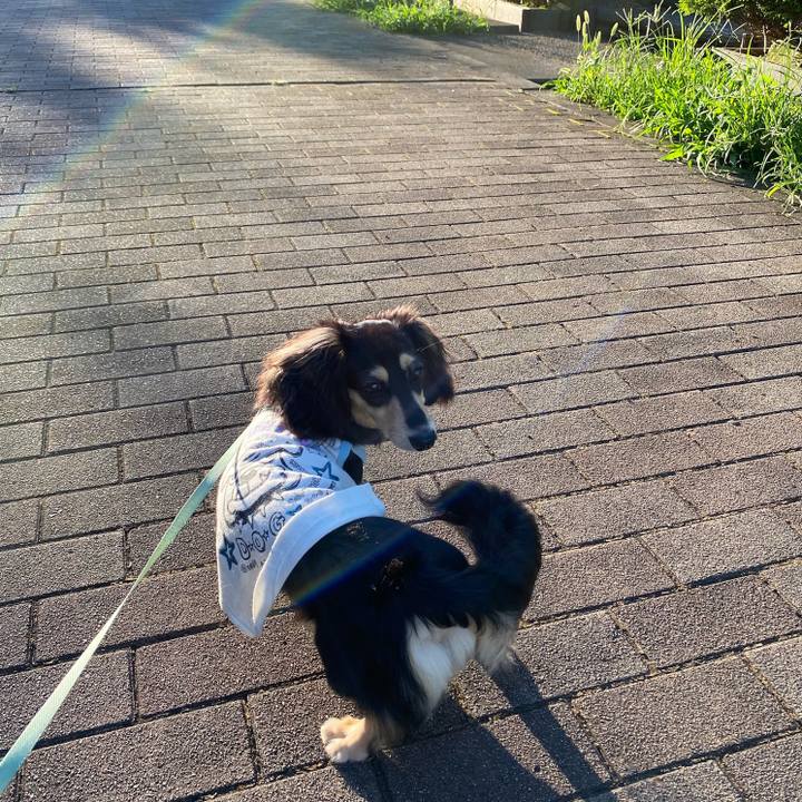 3246e349 3604 4499 bcd7 8965bbc91acf 1688945788836