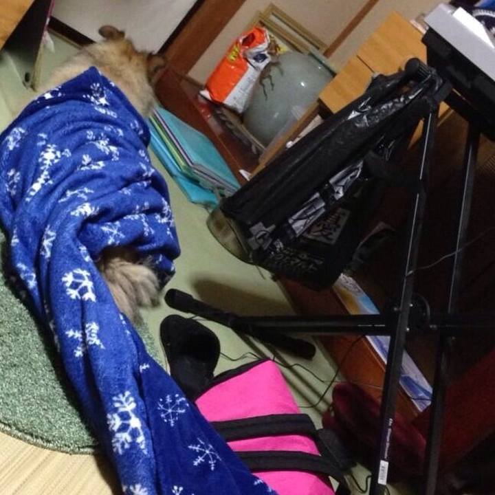 3246eac8 e94d 4eb7 b219 36e1f3568cf5 1602680912153