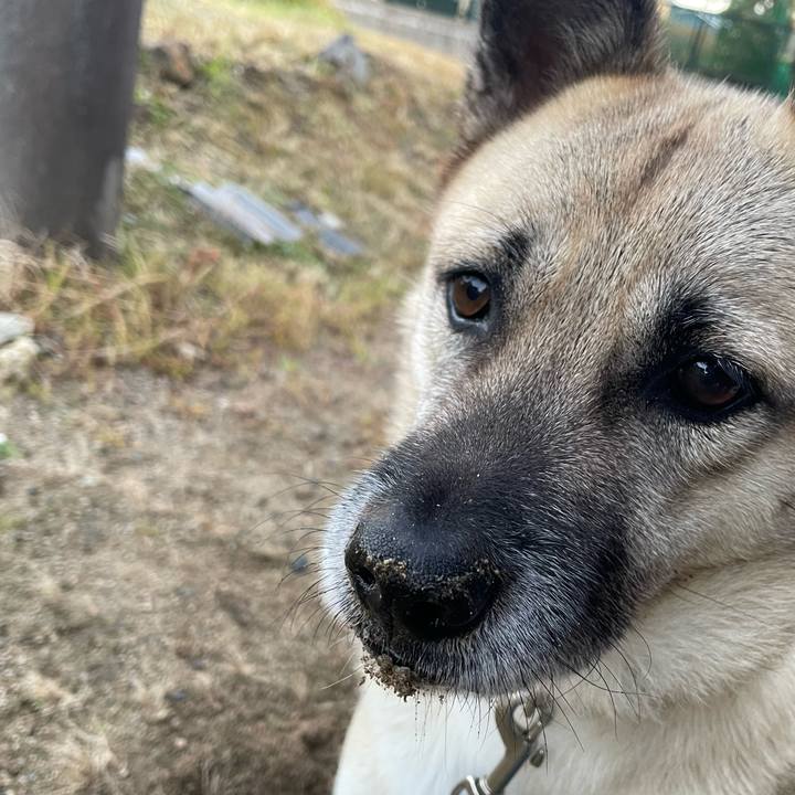 3246f6c7 bf57 4d30 9a14 99f40ff32e8e 1638882096557