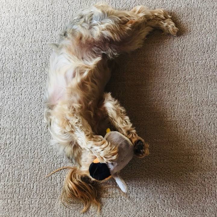 3246f9fe 4b8a 46e4 b61b c267e352617e 1539929941241