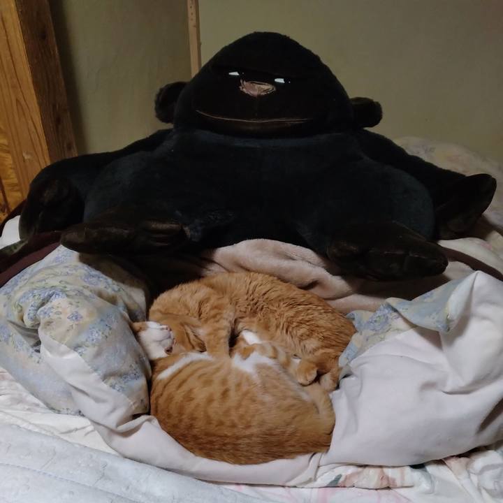 324710c2 461d 487e 80d3 468cc61d0684 1740484242921