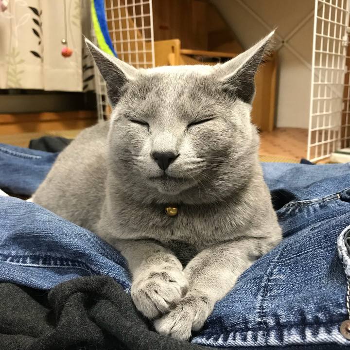 3247729a 2b7a 41ba b613 a0de2f4b5e88 1518446648607