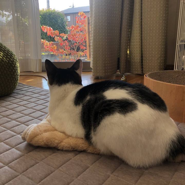 32477e03 580f 4772 a7f4 0a5059e14c83 1636610190899