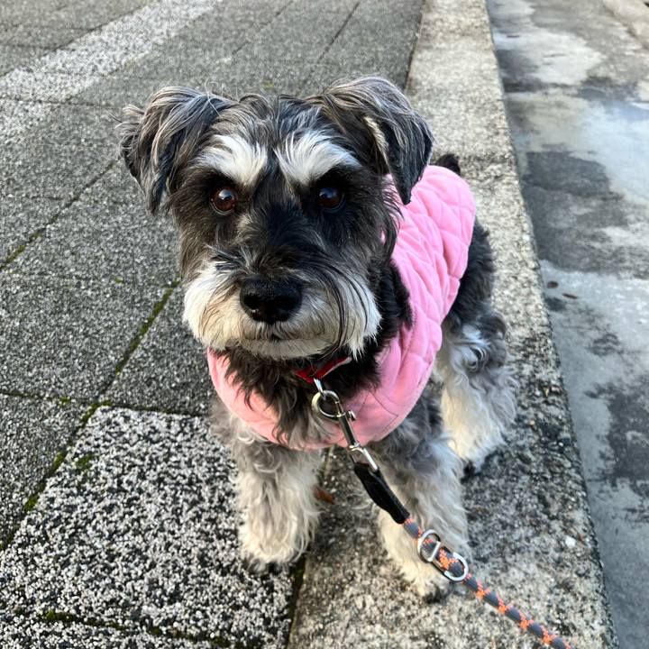 32479e9d c2d3 4d37 bc82 6cbfc09b3057 1772316810041