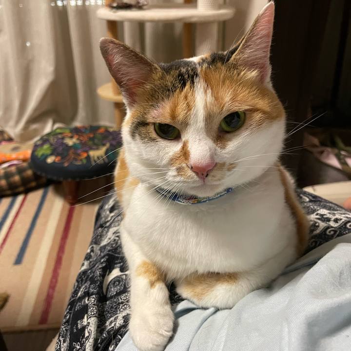 3247d034 5ce7 4ad0 993a 29d4b5396dc1 1691160116054