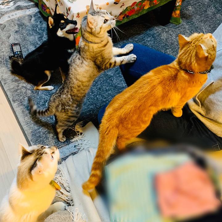 3247e795 6c8b 477d 8749 de5d3e38656d 1573470856010