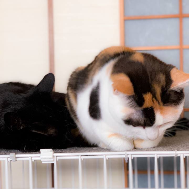 32480c3e cde8 42df bc27 ea22de206a28 1564281190856