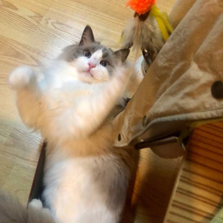 3248148a 7305 4316 9f54 62195427ad70 1620689102452