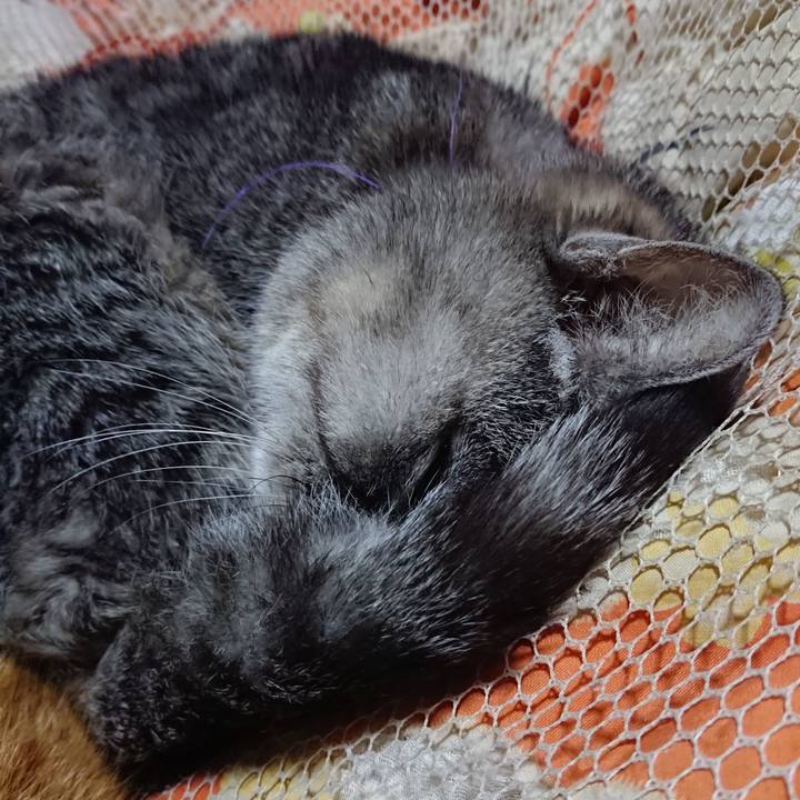 32482416 53d9 4b27 b65f 971720f1786c 1580473835485