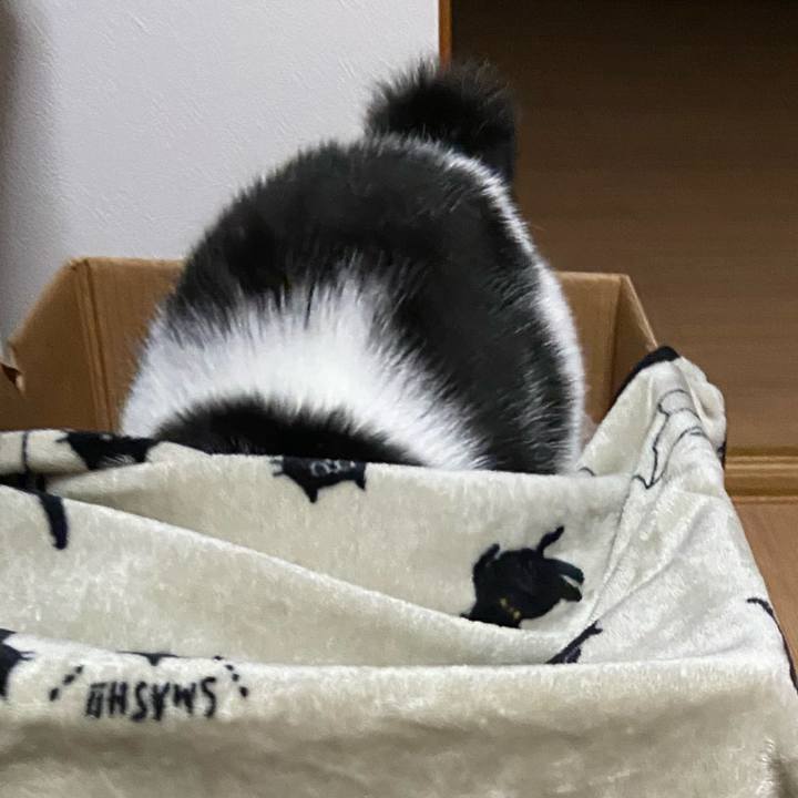 324836ce 5bcb 4fd4 a577 6dfd699fb308 1602937411465