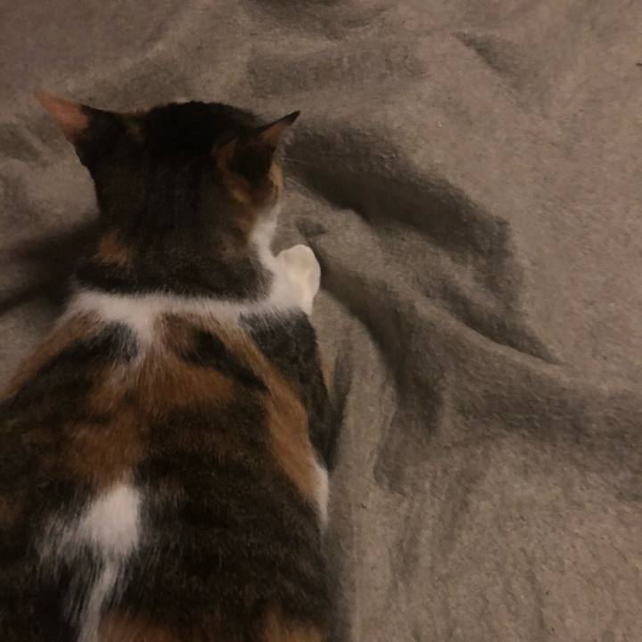 32486c04 b51b 40c4 9c65 79950632ec0a 1602498019886