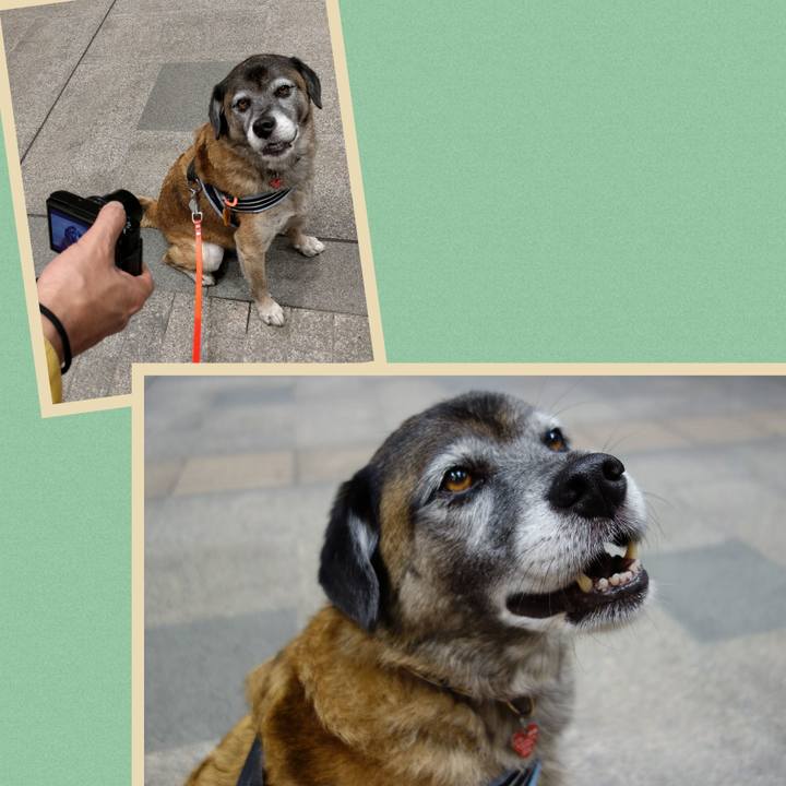 324878d0 b321 45ec a050 68003e55503b 1745063412624