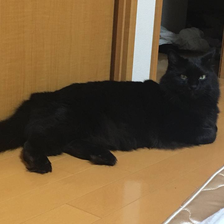 32487a03 c0f0 46e2 b126 c86b6fd392f6 1531575614637