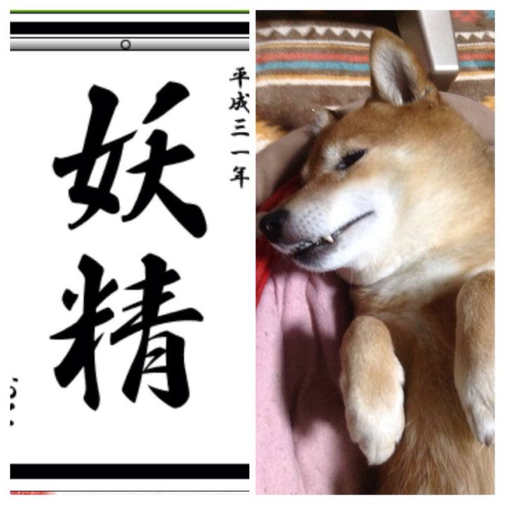 3248d15c ebcd 4a80 af17 91af1d808073 1546564761889