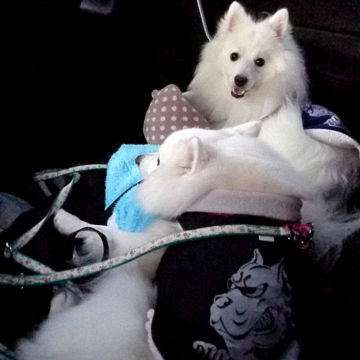 3248d367 c093 43bb a9f9 98ac355b977c 1577520467610