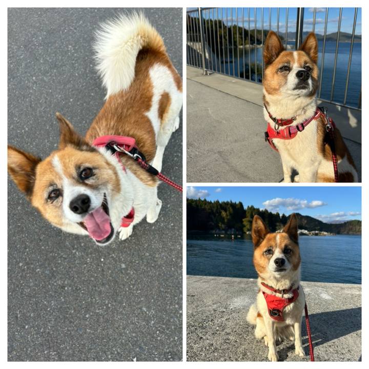 32494b9e f461 4fc3 949c d88cf8112f29 1763157939731