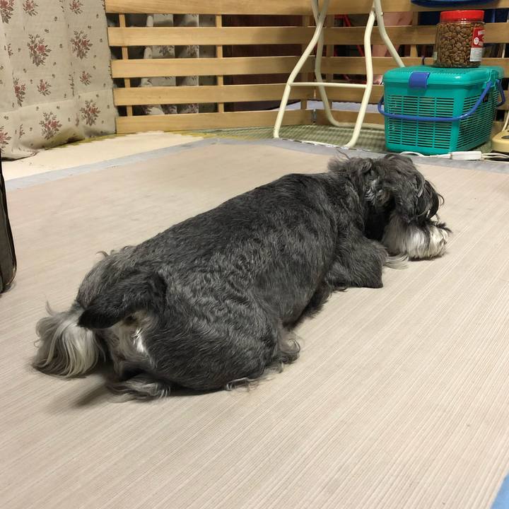 32494ba4 c4f3 44d9 80d9 e620a16c647a 1658489583094