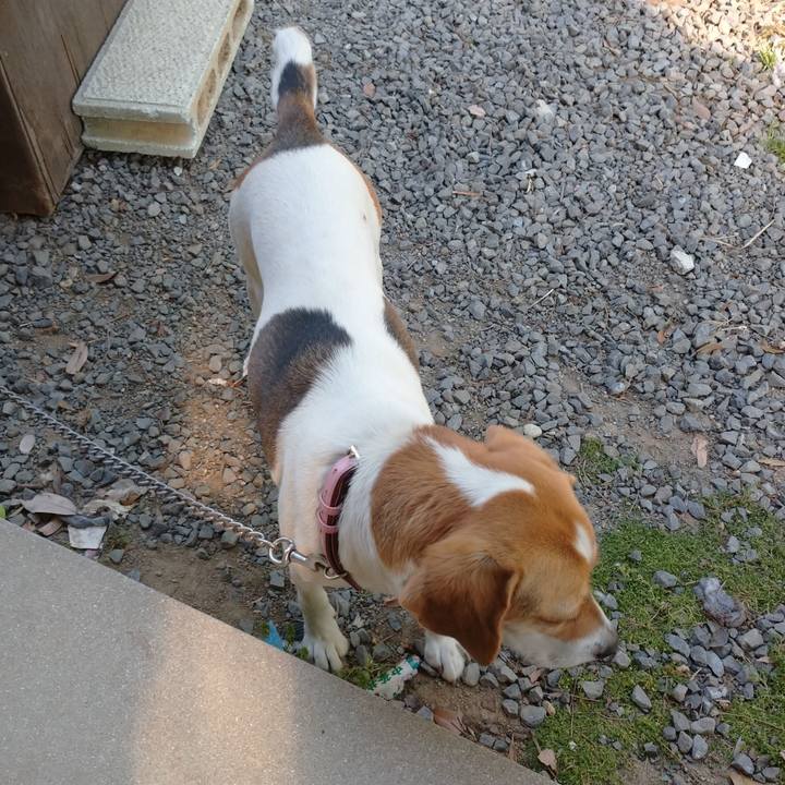 324970e8 1bc4 45a0 bd1b b6b7764dff50 1587969605724