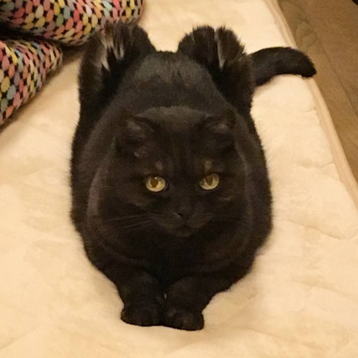 32499248 cd9e 43c5 86a7 8f691b75a470 1516295864202