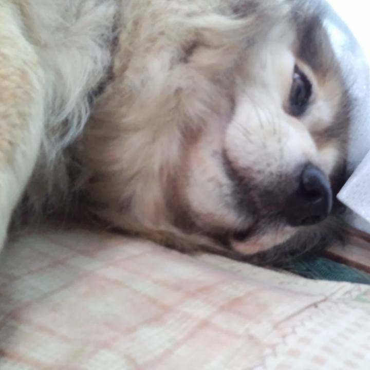 3249a93f fca3 425c aa16 3833a0f3df48 1607432613318