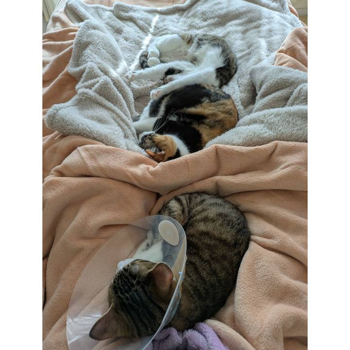 3249ce81 b127 4db4 954f eb38d3285c73 1738035412812