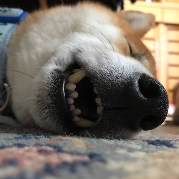 324a00bd 032d 491e 9c9c 37137615ed20 1592966194631