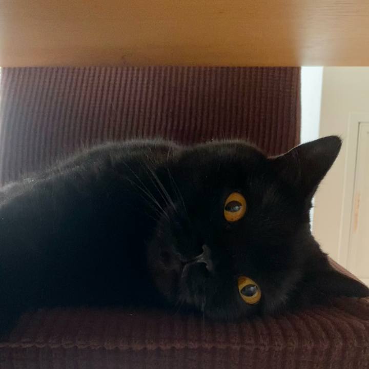 324a1532 7726 47b2 8c52 61e93bafd45c 1716282594586