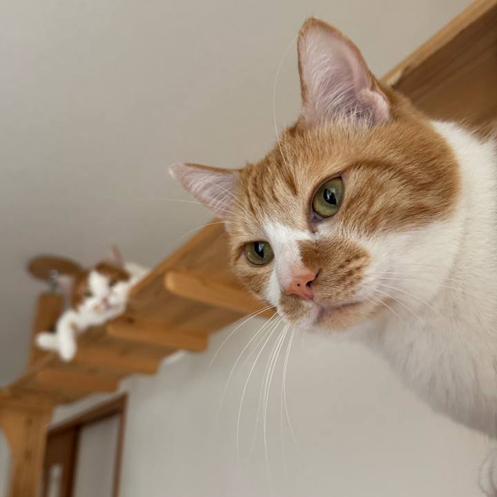 324a6db5 39d4 404f 87af e6011f5b6262 1772593484657