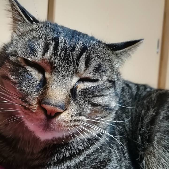 324a7517 71e2 4dce a785 dc3b7792aabc 1513253501269