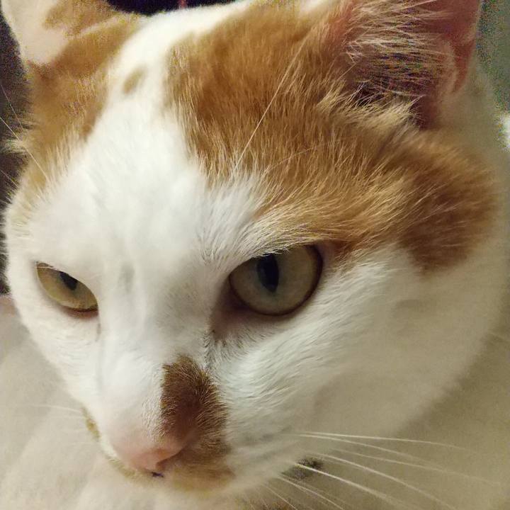 324a8f9a 2adb 4253 b8a0 09a1ef292169 1695030079225