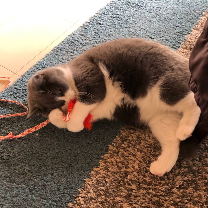 324b04dc 1cac 4e85 867e 0b66fe8efc6b 1549356318125