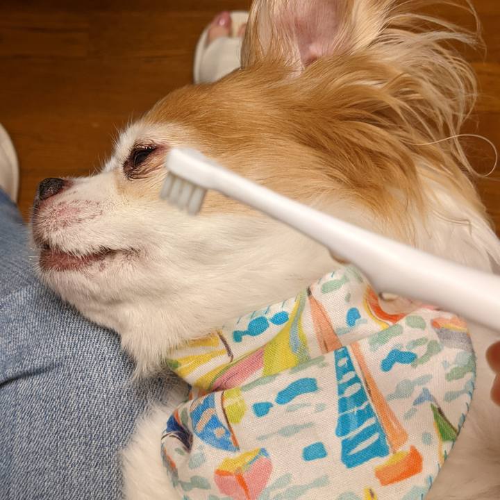 324b05bd dd99 40de a548 a818818492bb 1625234699599