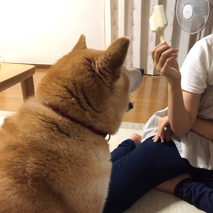 324b9220 2a79 4d29 a57b 2bcecdbb0602 1565871477192