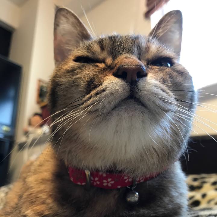 324b9424 6cfa 4692 bdc9 0a91e2b718c4 1525965820846