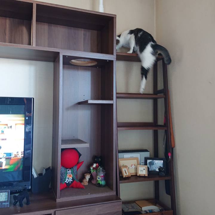 324bc0c4 6f51 4721 8609 7c356dd64161 1616457657405