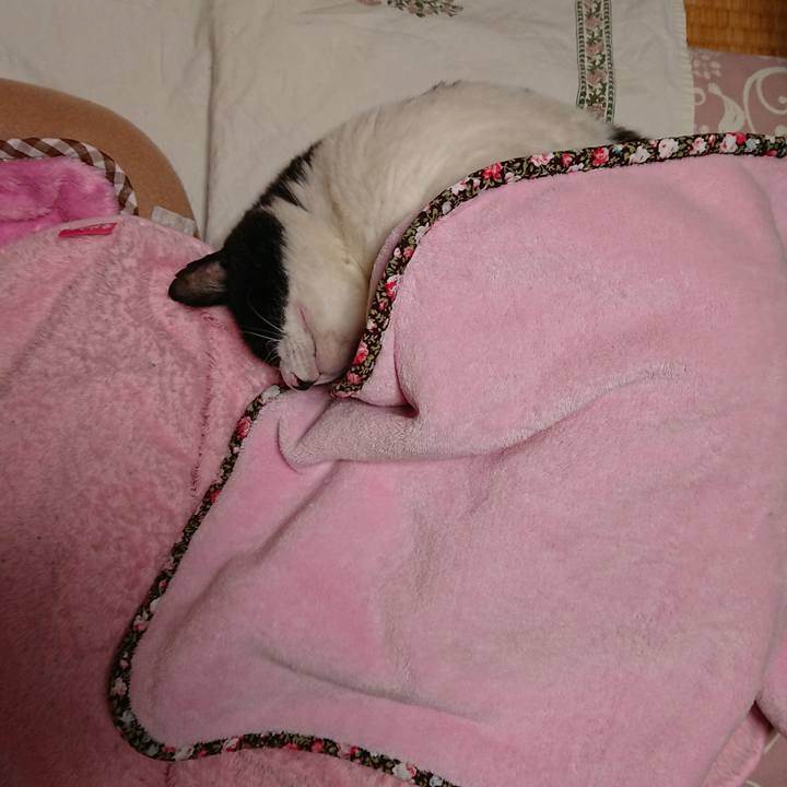 324bdb94 9492 4a47 8d02 a7f285203bbf 1634634190020