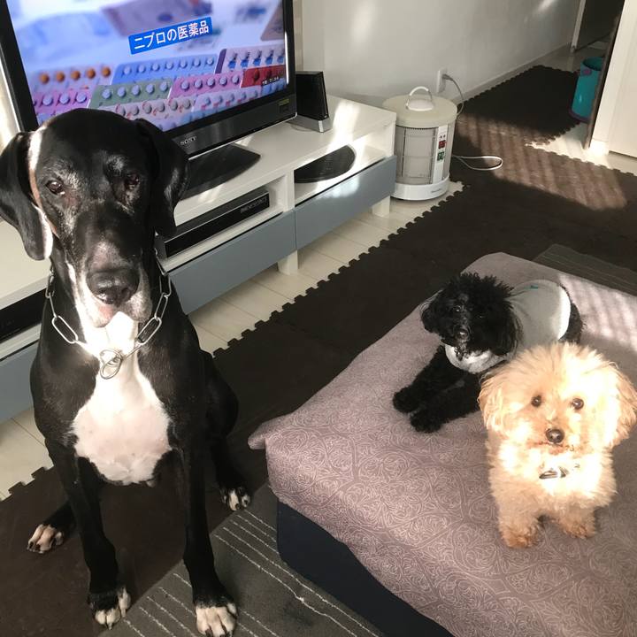 324c1189 e344 459f 9b02 b3684a43e81e 1509489544668