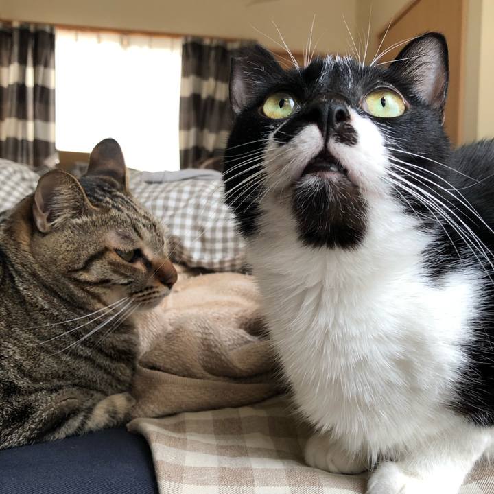 324cb911 e7d8 43bd 95a1 3084d99a03f4 1552765334584