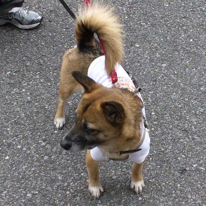 324cc18d d4be 4259 a056 823671fd9b7e 1730447474276