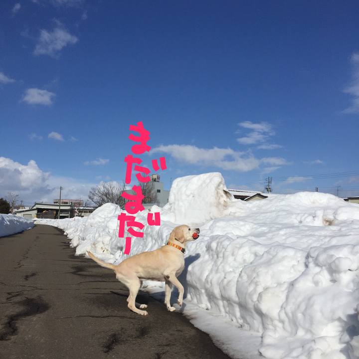 324cc23e f045 49d9 a8fe a8bd8ff865d6 1517721457714