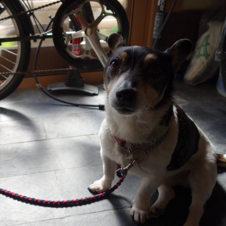 324cc4ae aea6 4736 90c7 76b0d234ef68 1554776549502