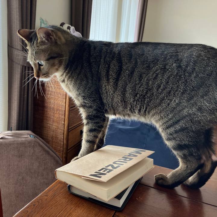 324cd801 8442 4626 b075 7e66269ebd1f 1763259250360