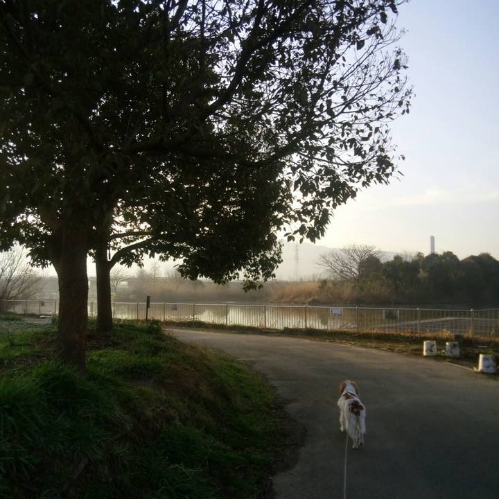 324cfc3b 4795 4a7d 982f d897f08ed644 1520985881283