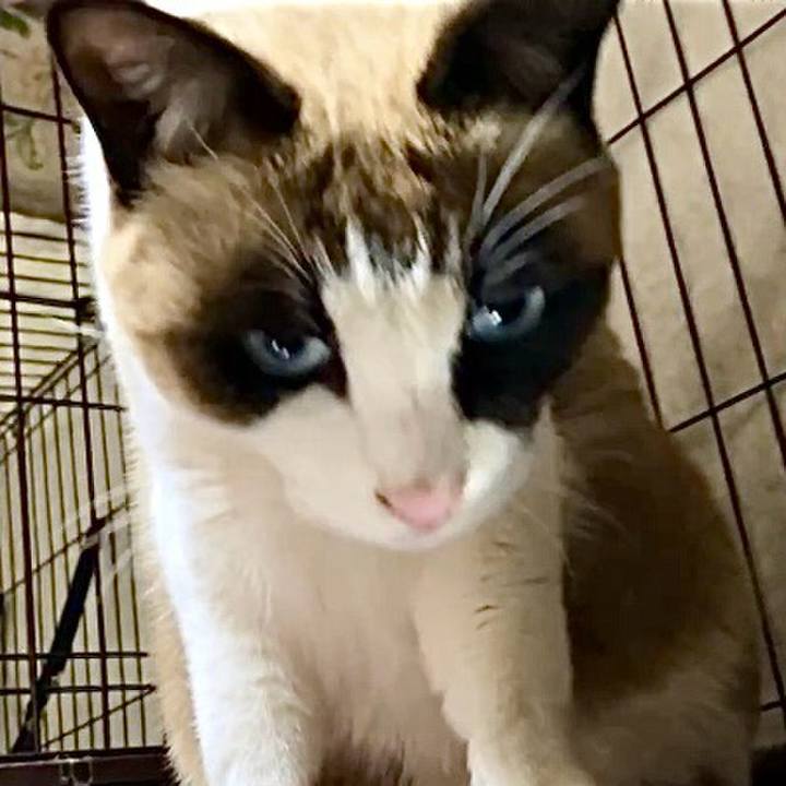 324d34a7 529d 463f bf6d 6a0d8cc1f60b 1738584508830